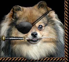 daggerjack.jpg - 17675 Bytes