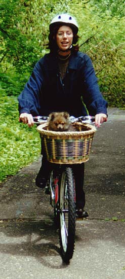 Easy Rider