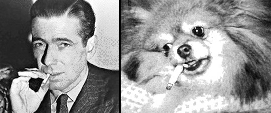 bogart.jpg - 60087 Bytes