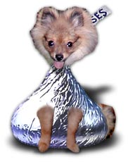 chocolatepom.jpg - 9046 Bytes