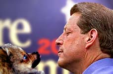 The Pom and the Vice-Prez