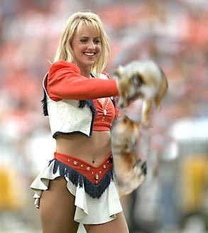 pompompom.jpg - 16961 Bytes