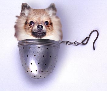 teaballpom.jpg - 13347 Bytes